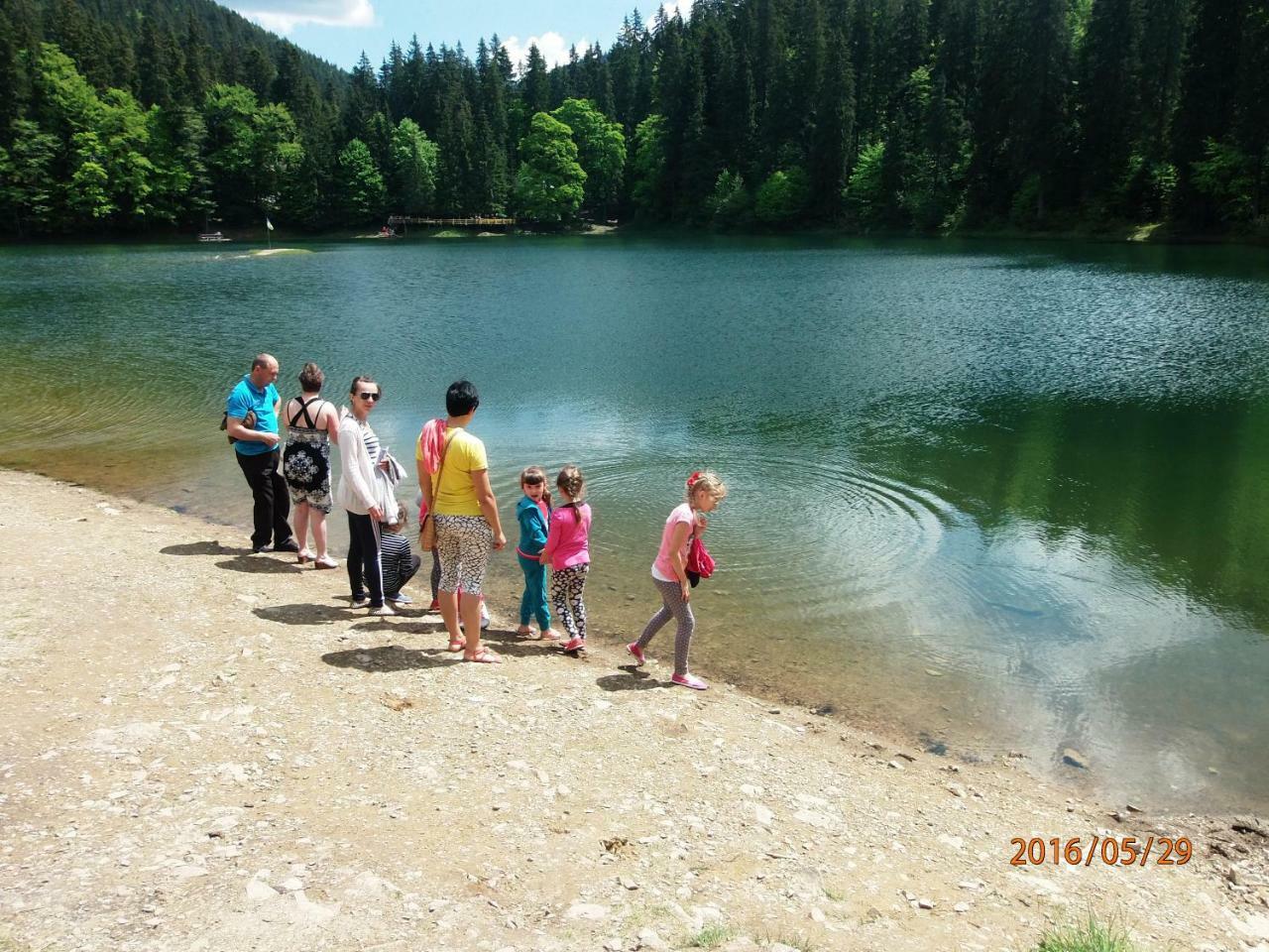 Family Green Sasovka  Esterno foto